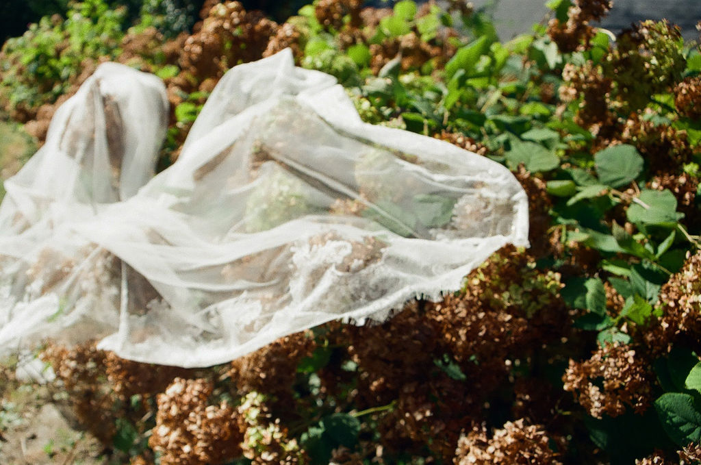 veil in hydrangeas at a jane austen inspired intimate backyard wedding