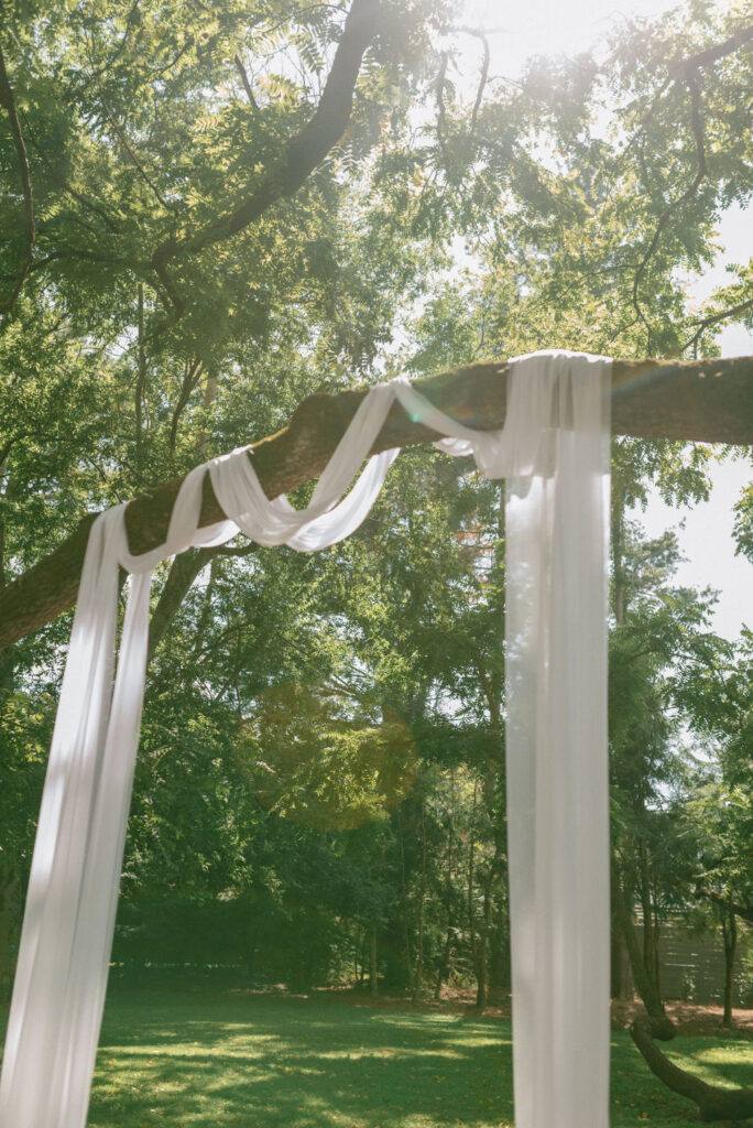 wedding ceremony fabric draped over  tree