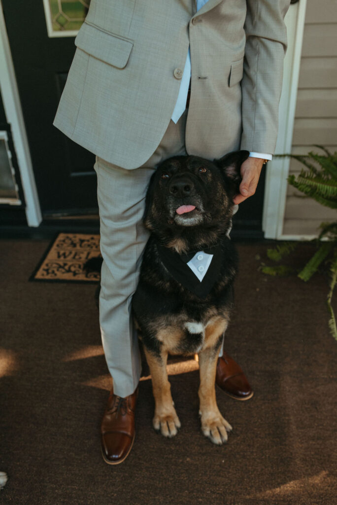 groom with his dog after the ceremony in their intimate backyard wedding 