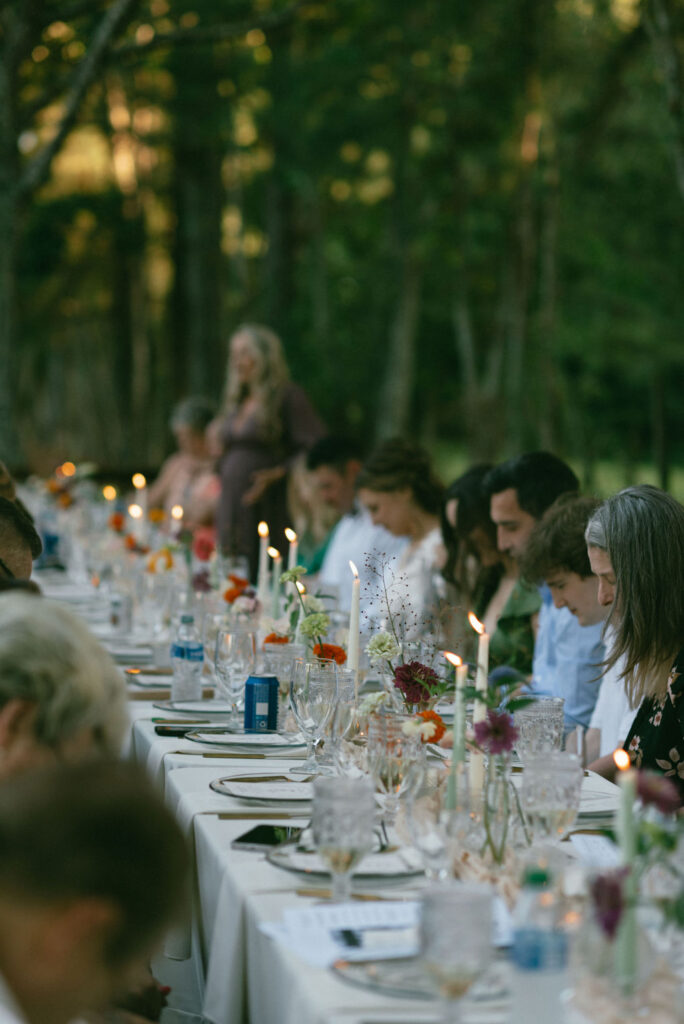 guests at the intimate backyard wedding