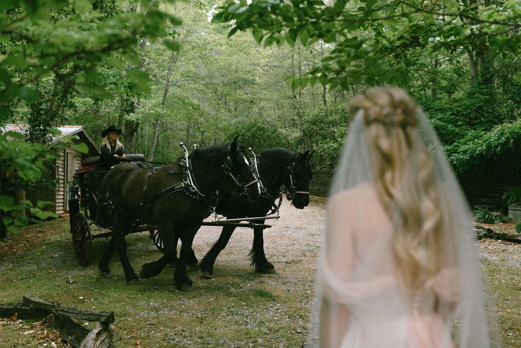 fairytale bride portraits in pink dress in horse drawn carriage