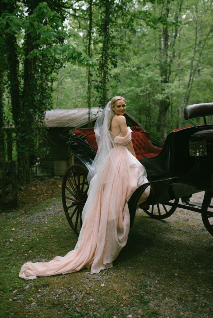 fairytale bride portraits in pink dress in horse drawn carriage