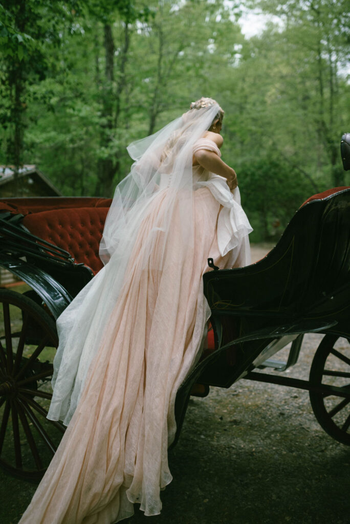 fairytale bride portraits in pink dress in horse drawn carriage