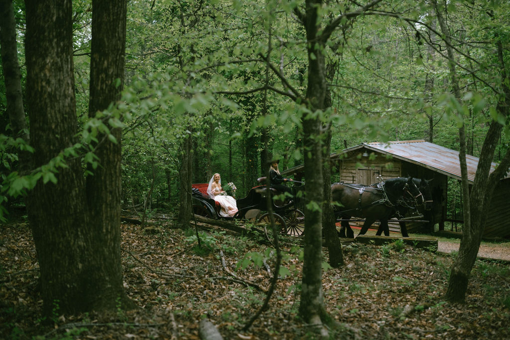 fairytale bride portraits in pink dress in horse drawn carriage