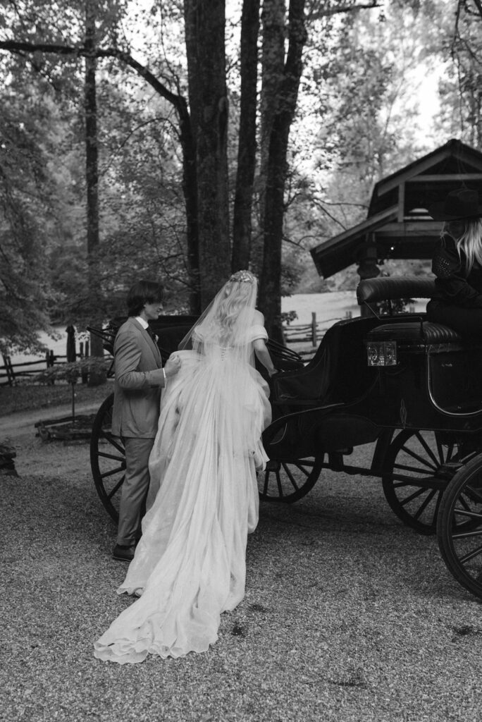 fairytale bride portraits in pink dress in horse drawn carriage