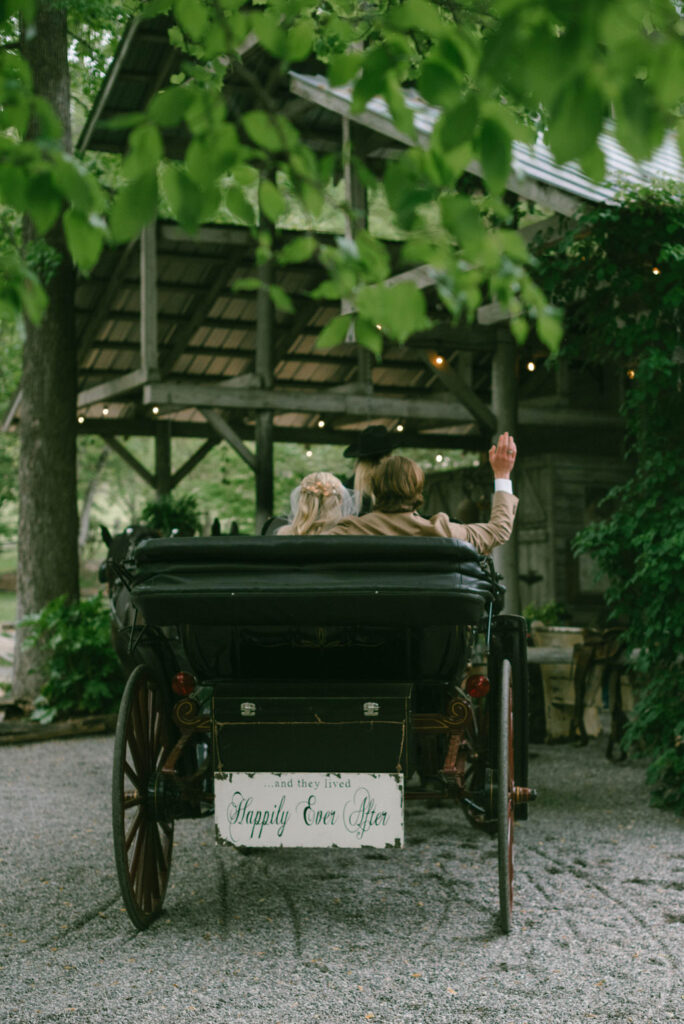 fairytale bride portraits in pink dress in horse drawn carriage