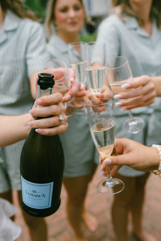 Bride and her bridesmaids