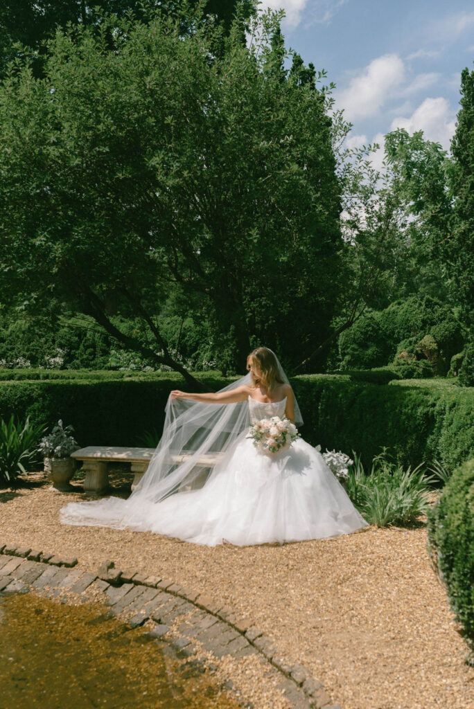 Bride portrait