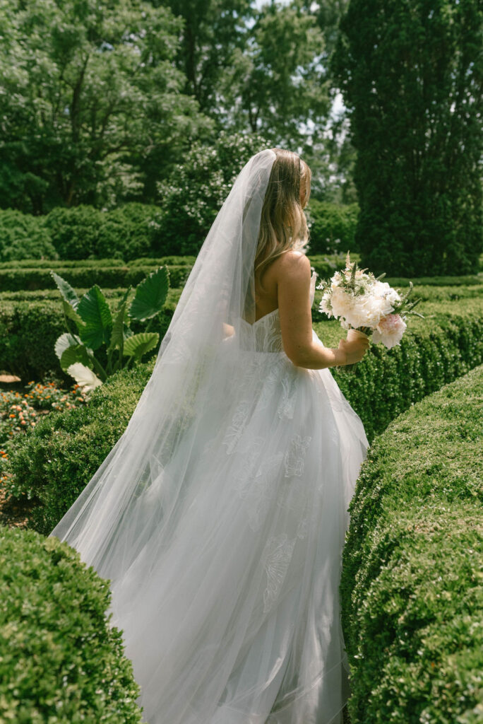 Bride portrait