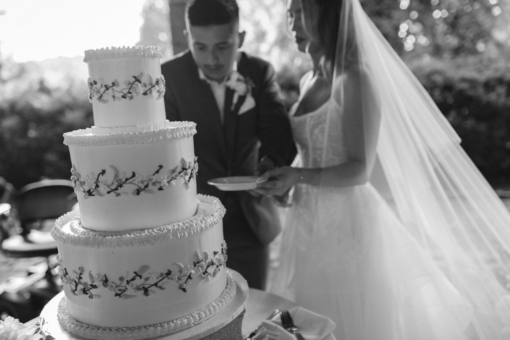 Bride and groom cutting their wedding cake