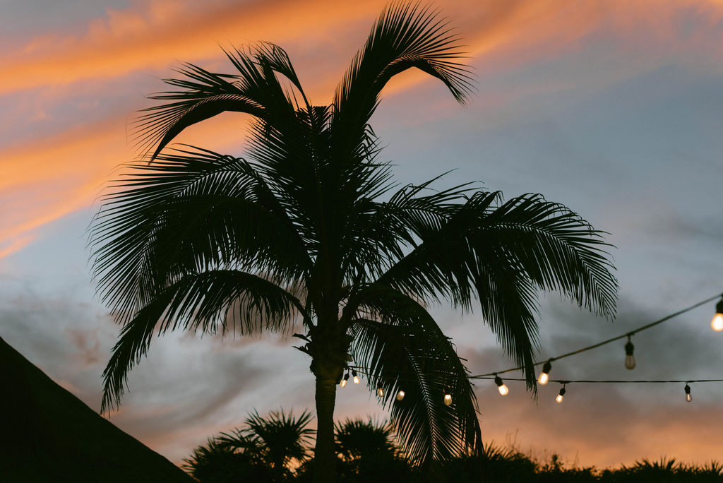 Destination Sikh Wedding in Tulum, Mexico
