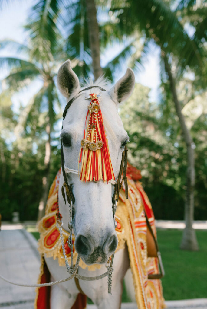 Destination Sikh Wedding in Tulum, Mexico